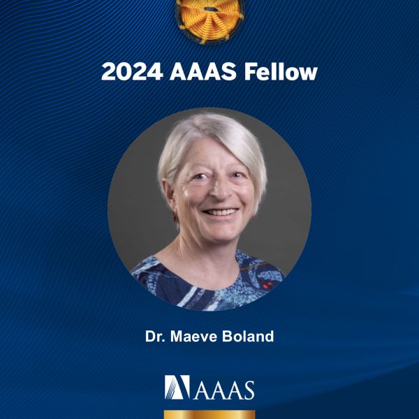 A headshot of Dr Maeve Boland with the 2024 AAAS Fellow announcement
